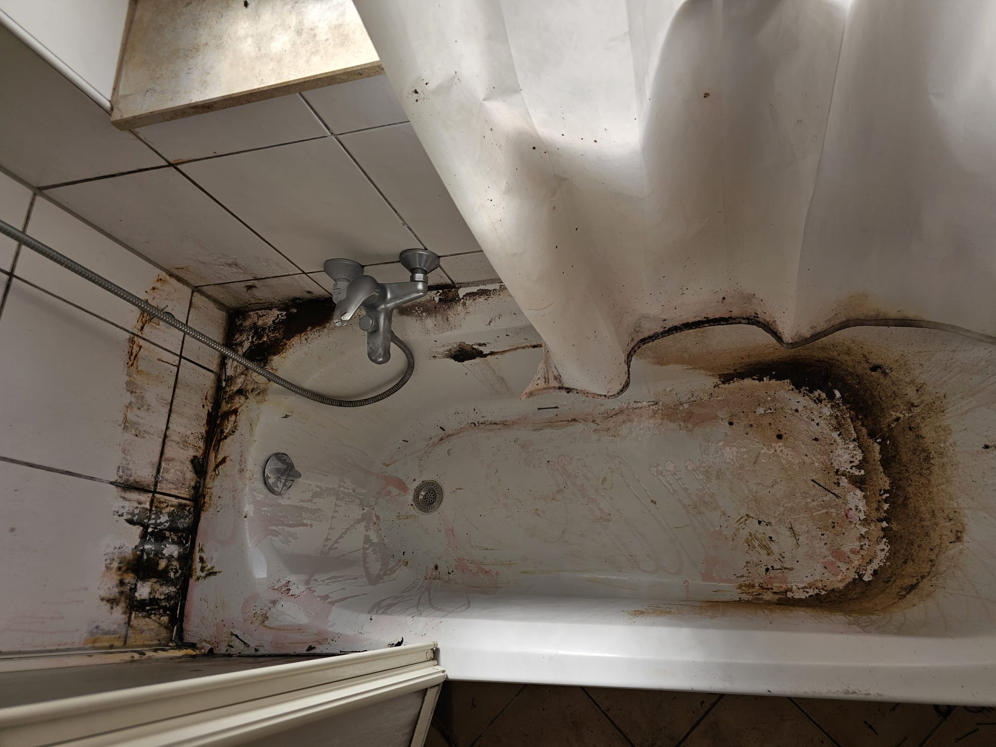 Entrümpelung Köln – RIWI Dienstleistungen