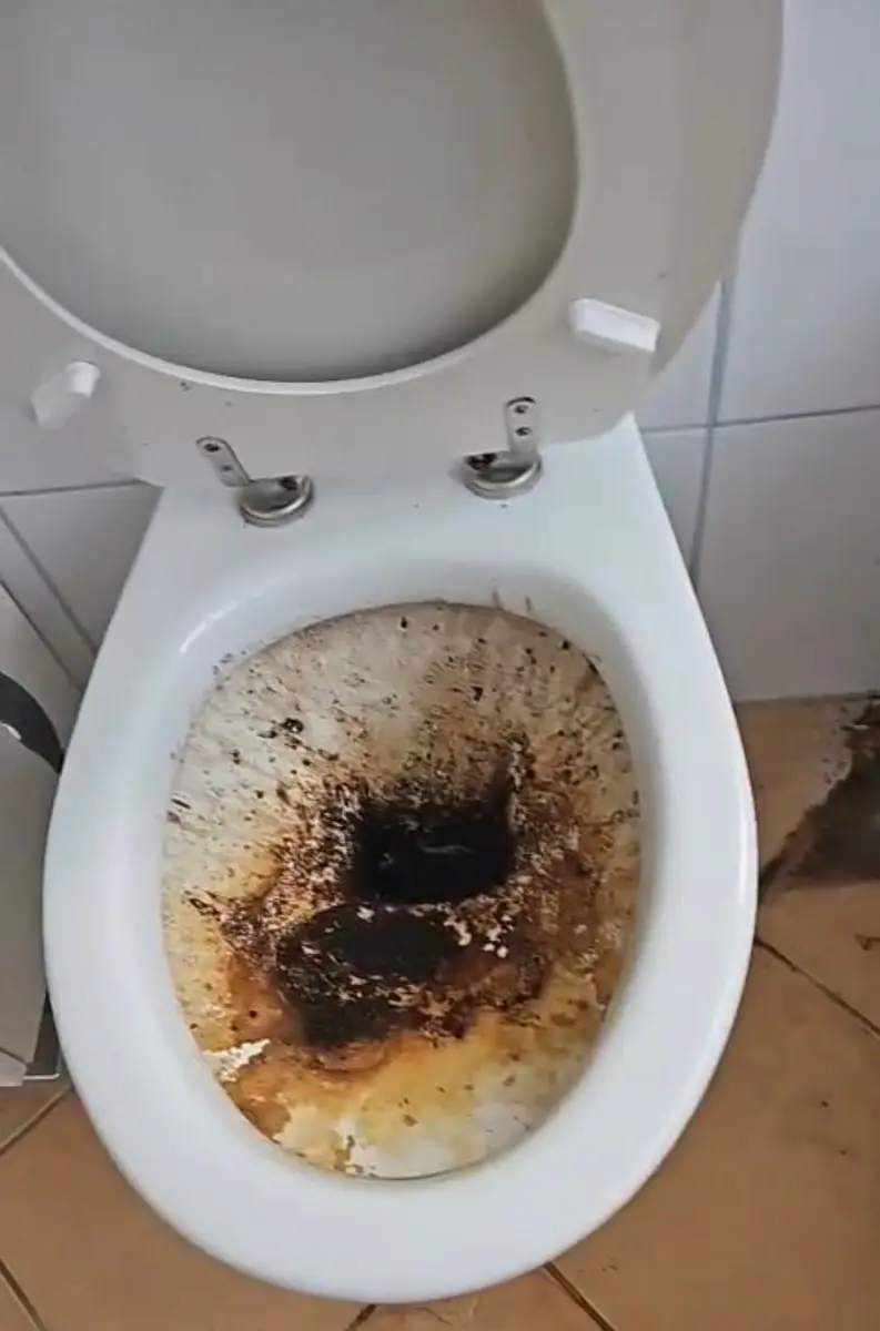 WC vorher