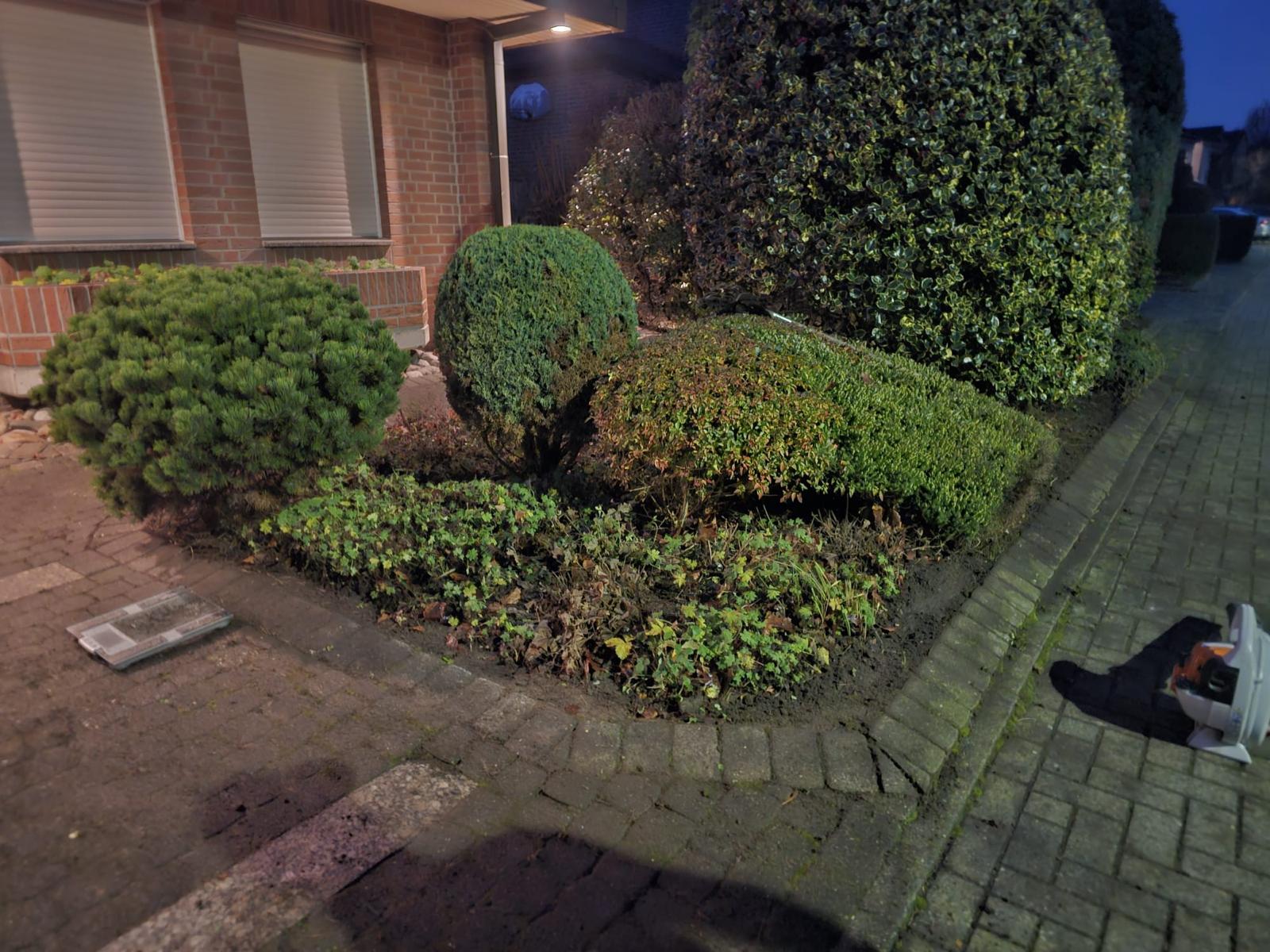 Außenbereich nachher