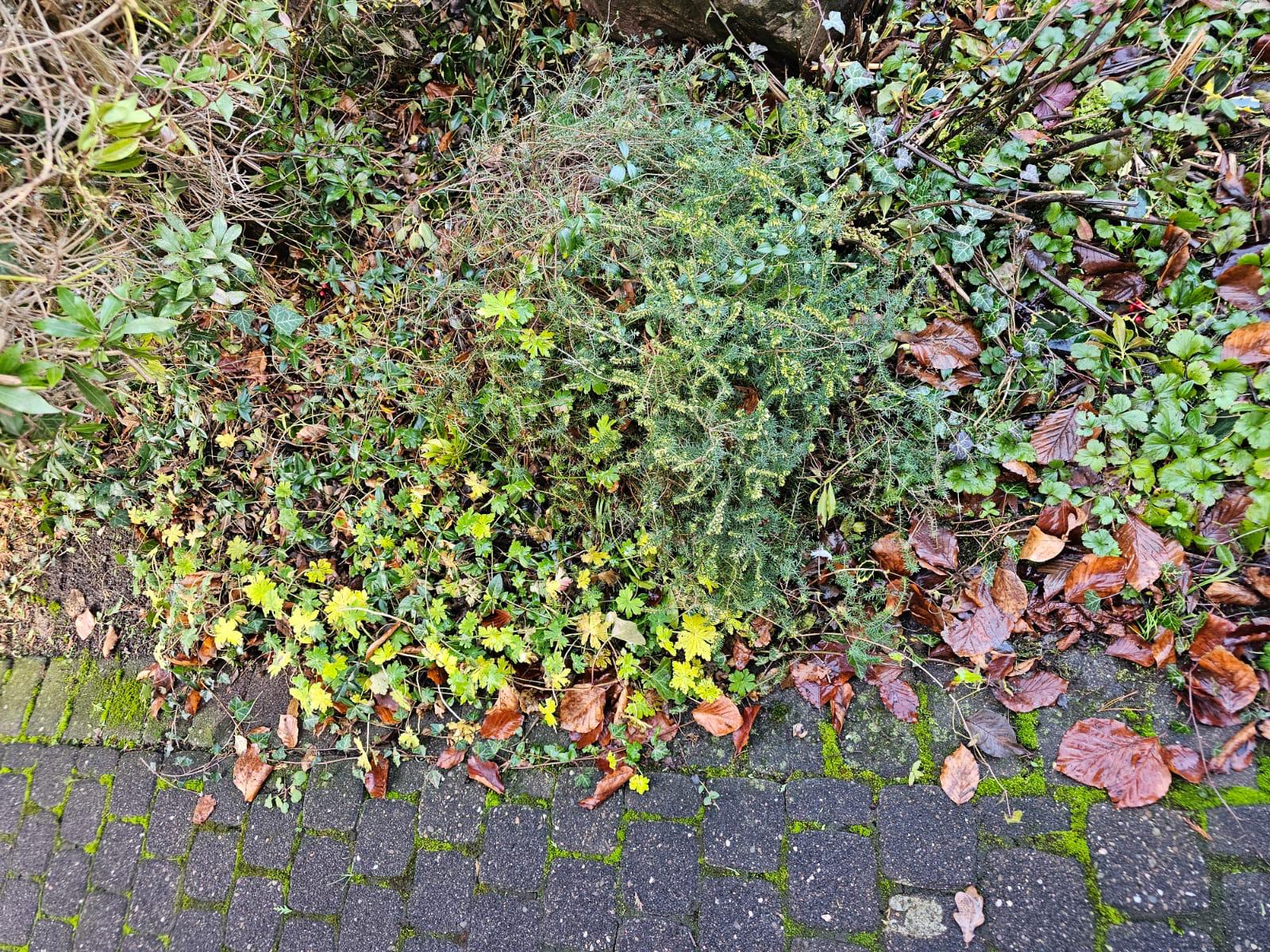 Außenbereich vorher