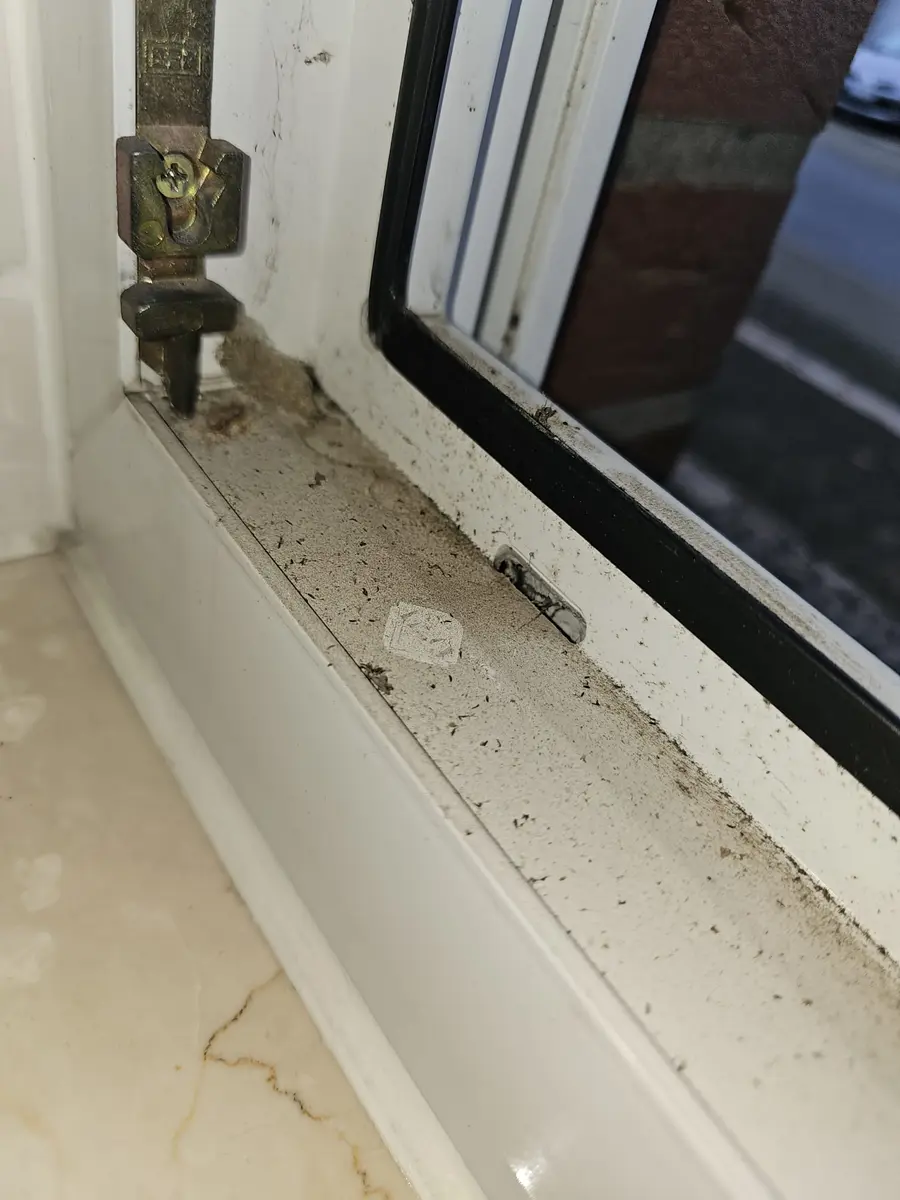 Fenster vorher